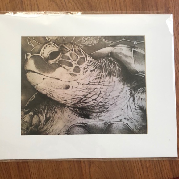 Sepia Turtle Art Print - Picture 1 of 2